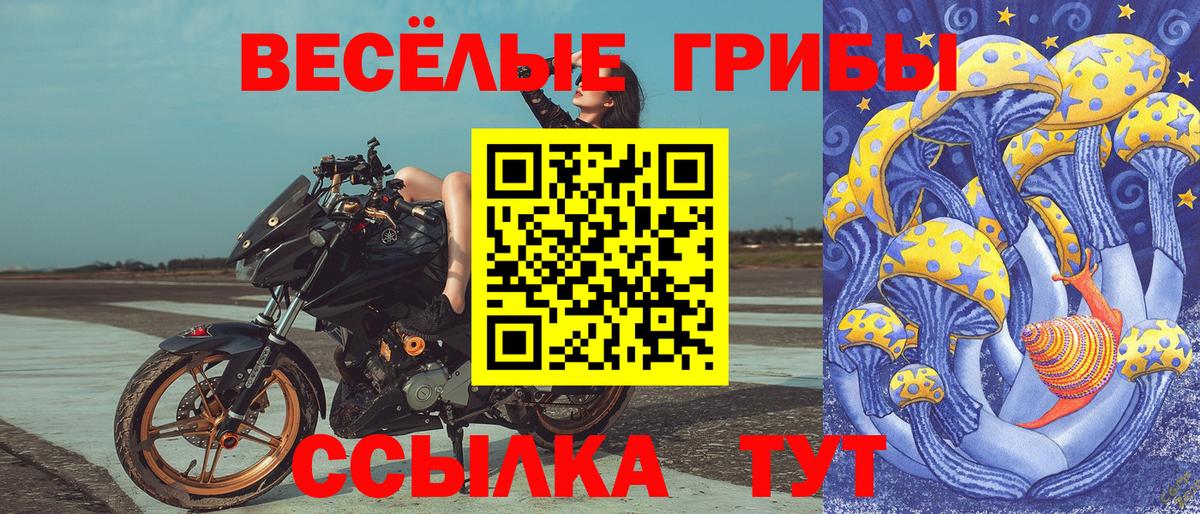 Галлюциногенные грибы Magic Shrooms Туймазы