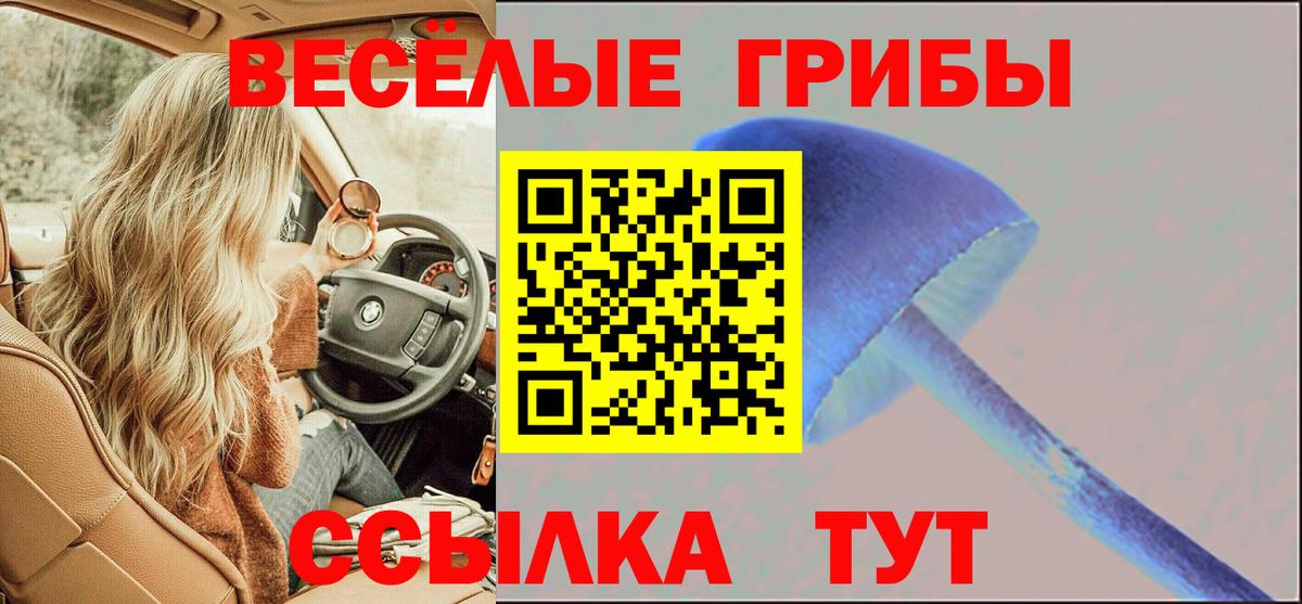 Псилоцибиновые грибы Cubensis  Вход с VPN  Туймазы 